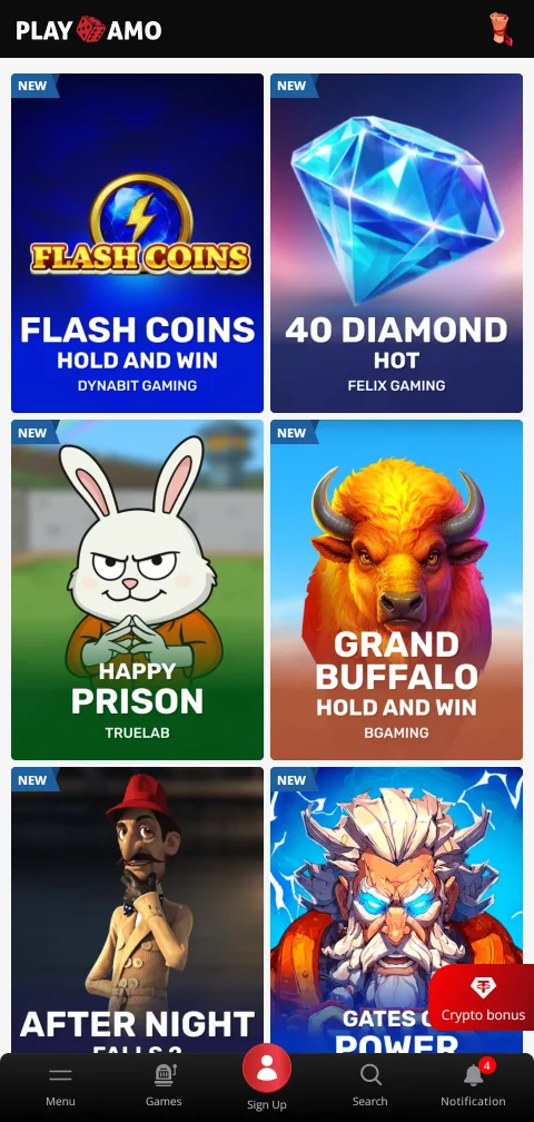 Ein- und Auszahlungen bei PlayAmo Casino mit Karten, E-Wallets und Kryptowährungen