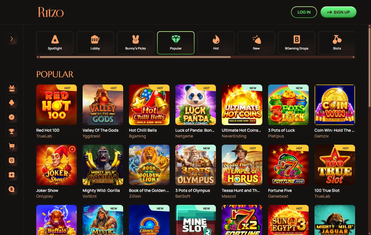 Kassenbereich von Ritzo Casino mit Zahlungsmethoden am Desktop